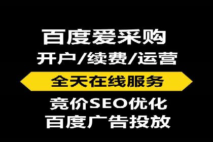 SEM竞价技巧：成功案例揭秘
